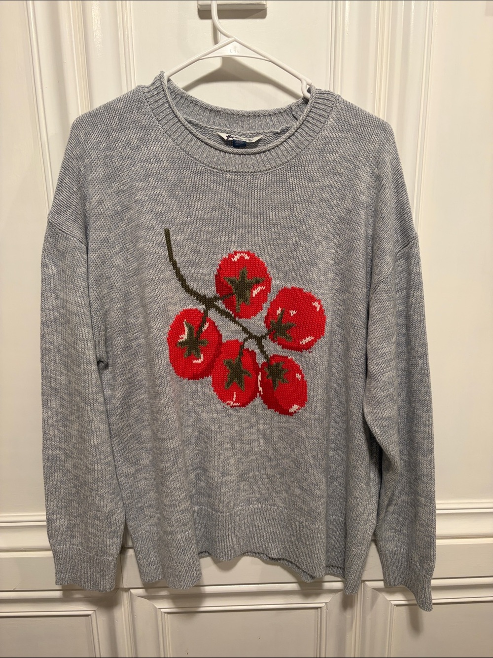 American Eagle Outfitters Gray Crewneck Sweater with Red Tomato Knit